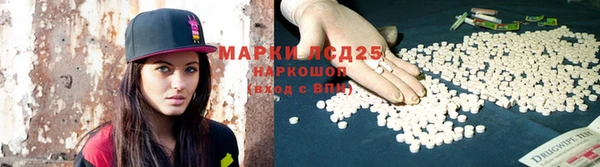 PSILOCYBIN Лиски