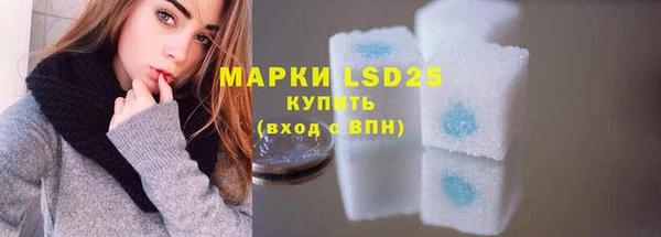 PSILOCYBIN Лиски