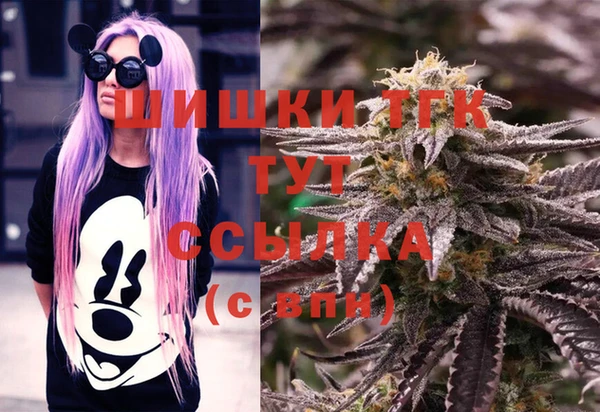PSILOCYBIN Лиски